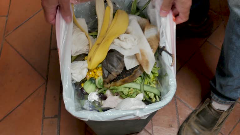 Best Residential Junk Removal  in Brentwood, TN